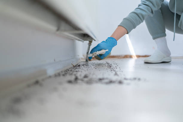 Best Best Pest Control Companies  in Marco Island, FL